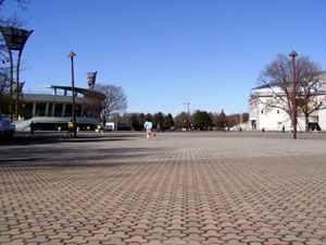 淵野辺公園