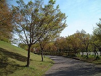 公園内風景2
