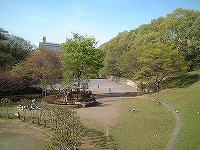 公園内風景3