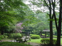 箱庭風庭園