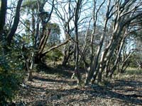 北側から見た土塁