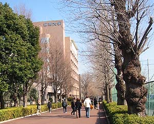 大学の建物の写真