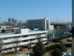 広々とした校内