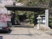 ʌ