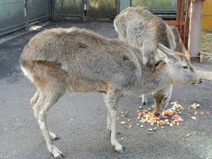 dscn019-4